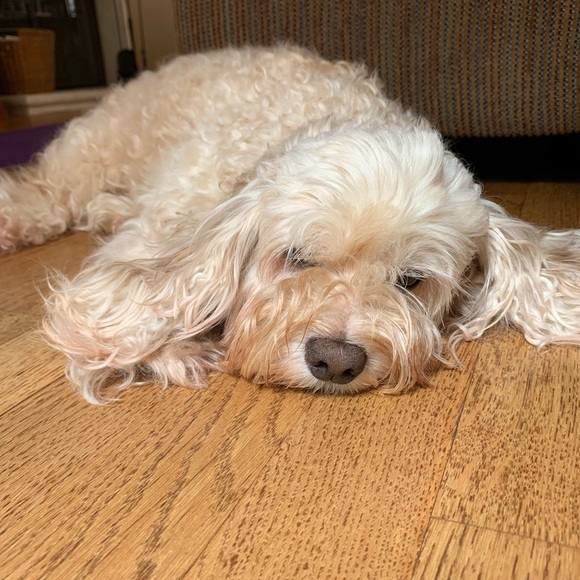 Meet me!!! - Picture 5 of 5